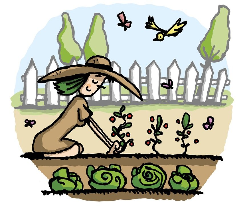 Tekening van een vrouw die in de moestuin werkt