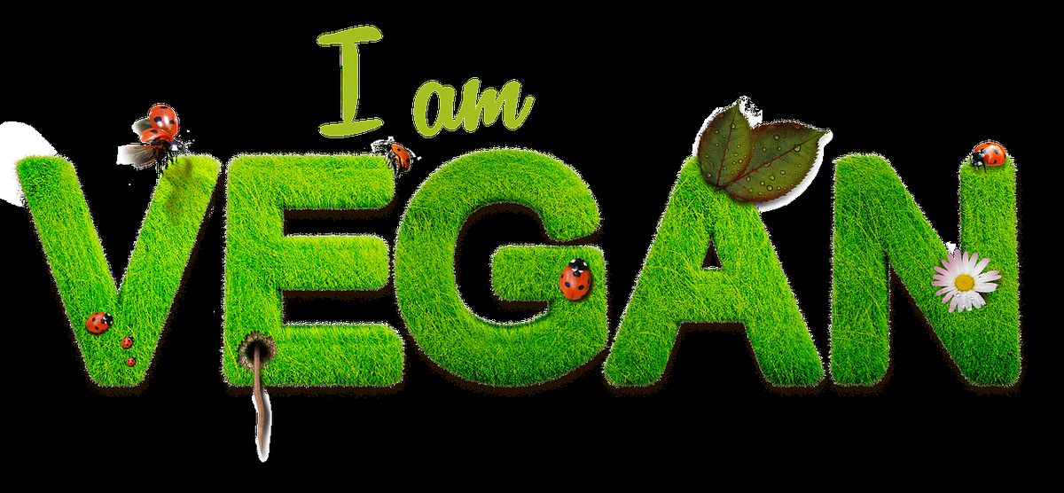 Grasletters die het woord vegan vormen met lieveheersbeestjes