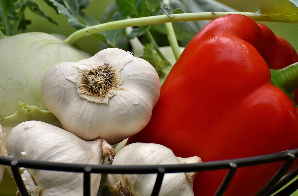 Knoflookbollen en rode paprika in een draadmand